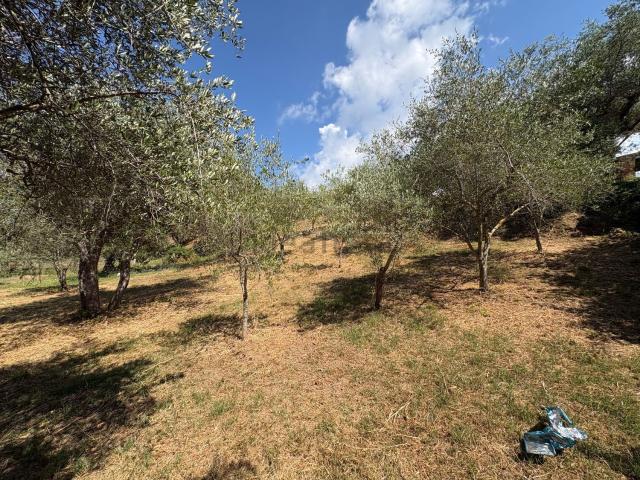 Terreno in vendita a Naso, Sicilia
