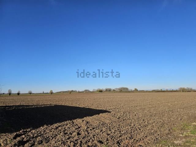 Terreno in vendita a Vescovana, Veneto