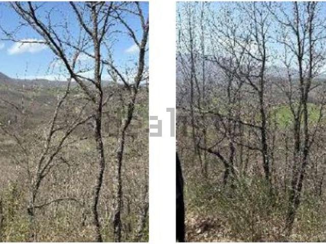Terreno in vendita a Civitanova del Sannio, Isernia