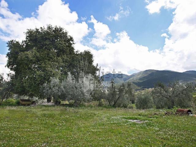 Terreno in vendita a Montasola, Lazio