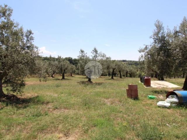 Terreno in vendita a Fara Sabina, Lazio