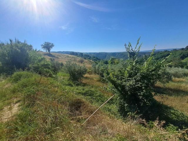 Terreno in vendita a Alviano, Umbria