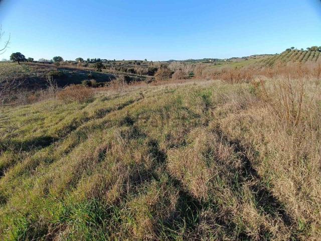 Terreno in vendita a Maiano Lavacchio, Magliano In Toscana