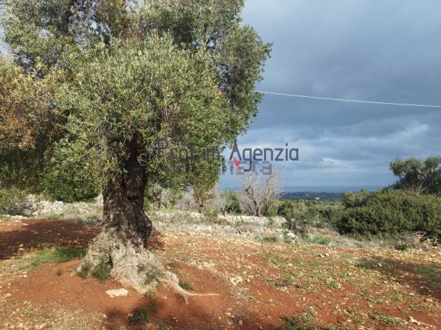 Terreno in vendita a Puglia, Brindisi