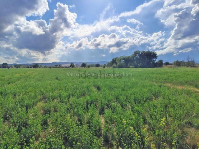Terreno in vendita a Chiesina, Torrita di Siena
