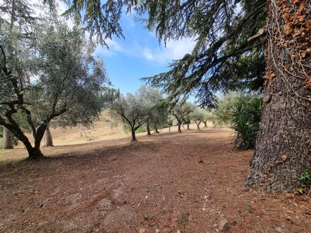 Terreno in vendita a Marche, Macerata