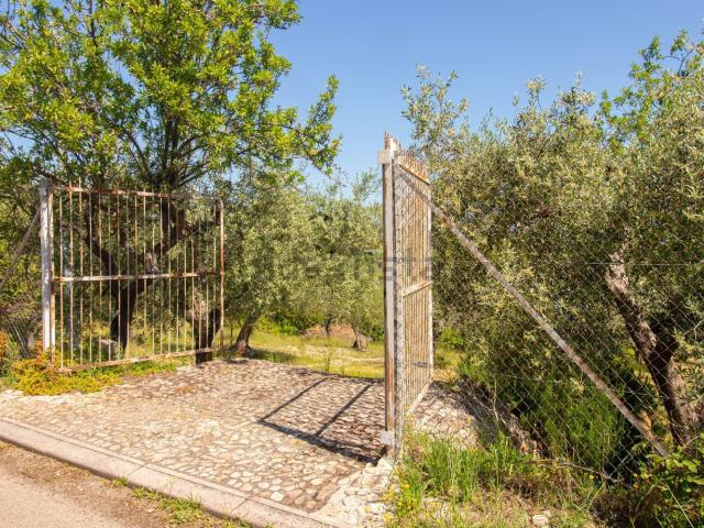 Terreno in vendita a Puglia, Foggia