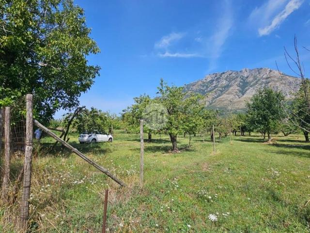 Terreno in vendita a Borgo Fontanelle, Montesarchio