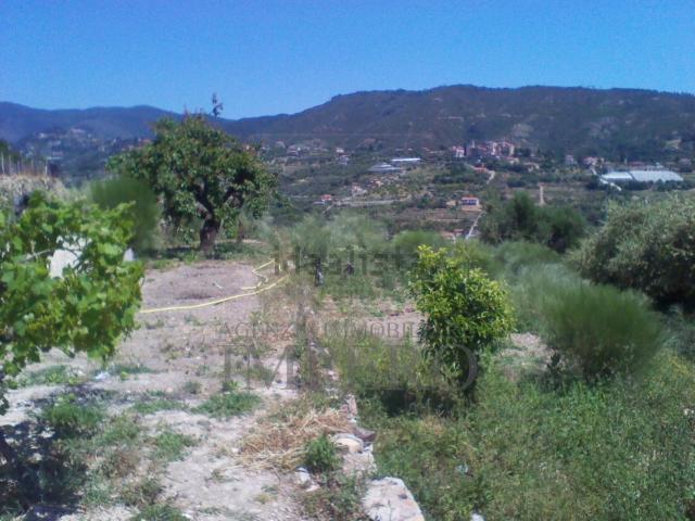 Terreno in vendita a Bordighera, Liguria