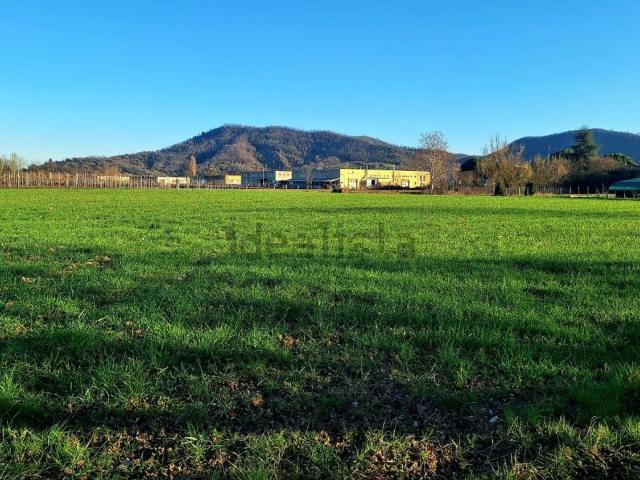 Terreno in vendita a Torreglia, Veneto