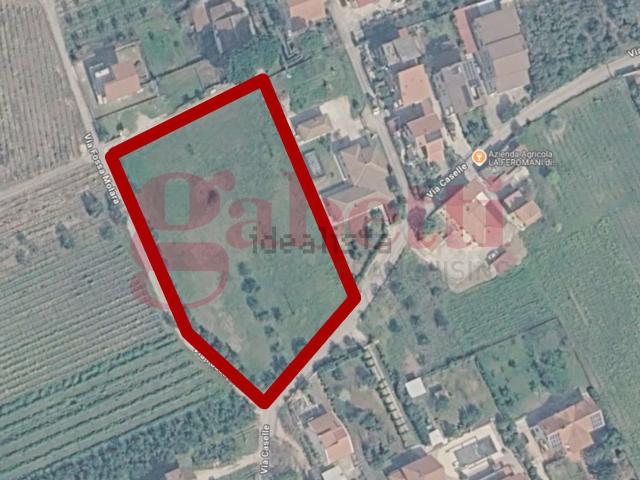 Terreno in vendita a Castelvenere, Benevento