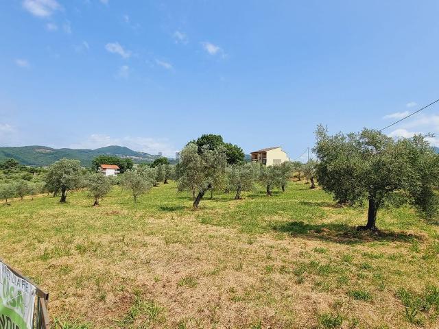 Terreno in vendita a Isernia, Molise