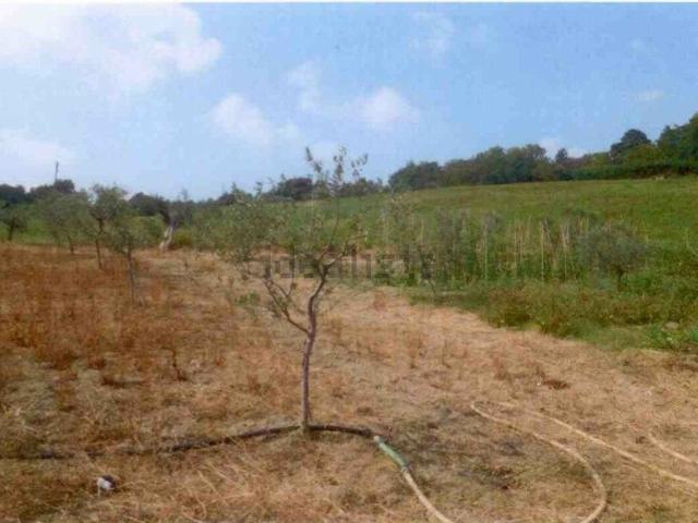 Terreno in vendita a Marche, Fermo