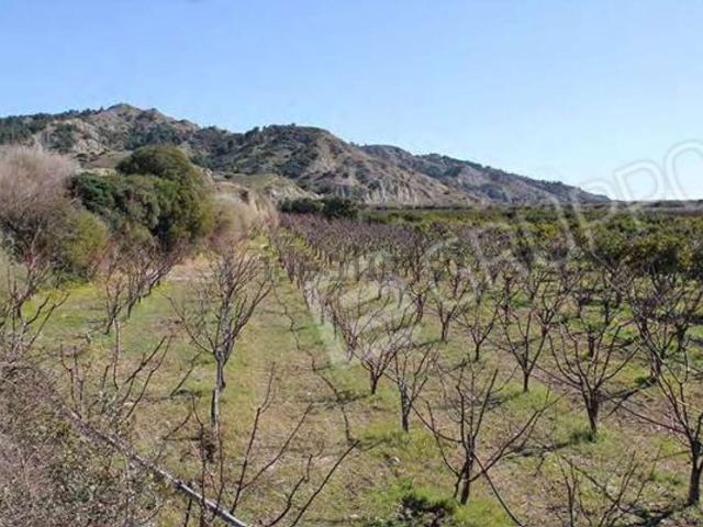 Terreno in vendita a Tursi, Basilicata