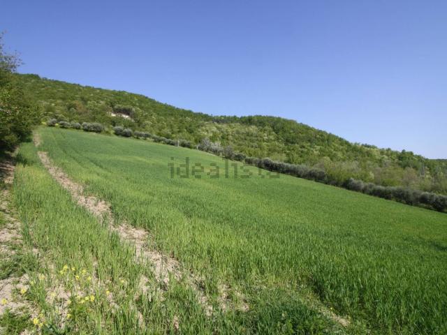 Terreno in vendita a Unione dei comuni Savena-Idice, San Lazzaro