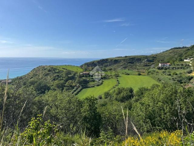 Terreno in vendita a Calabria, Cosenza