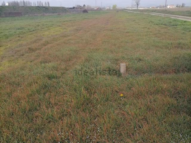 Terreno in vendita a Zevio, Veneto