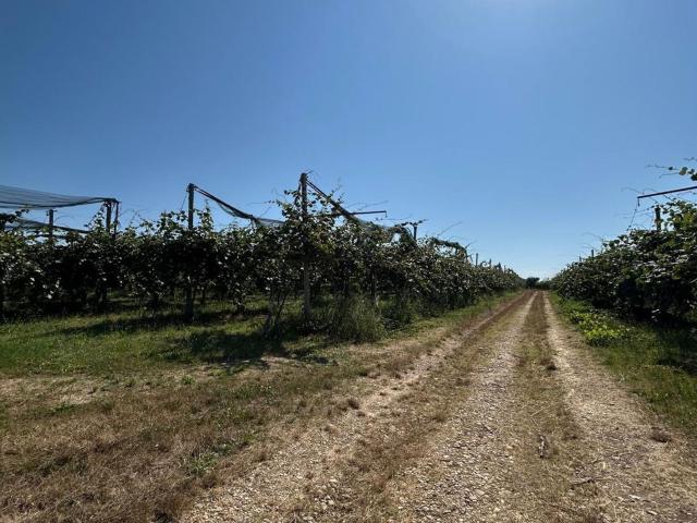 Terreno in vendita a Ortona, Abruzzo