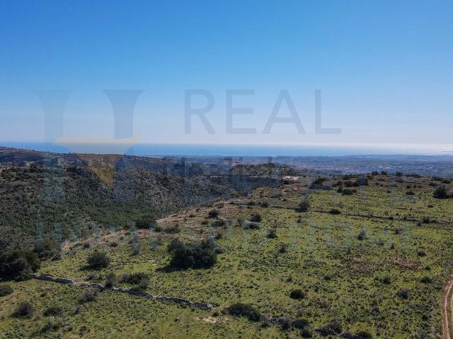 Terreno in vendita a Noto, Sicilia