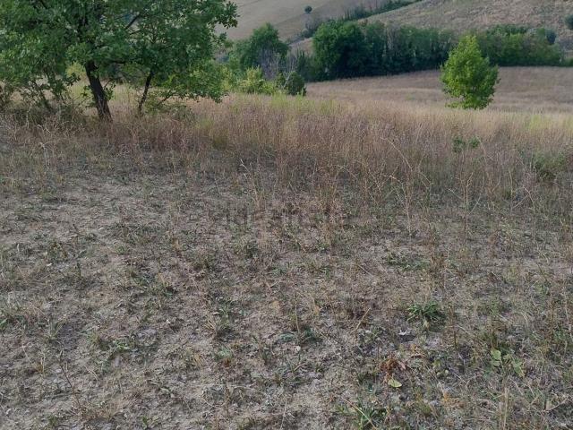 Terreno in vendita a Marche, Macerata