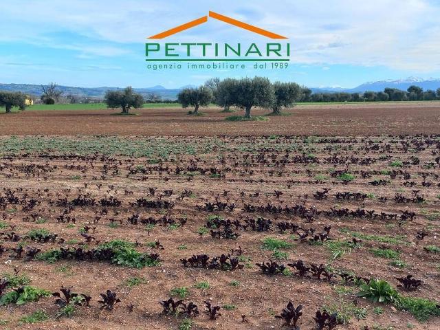 Terreno in vendita a Marche, Macerata