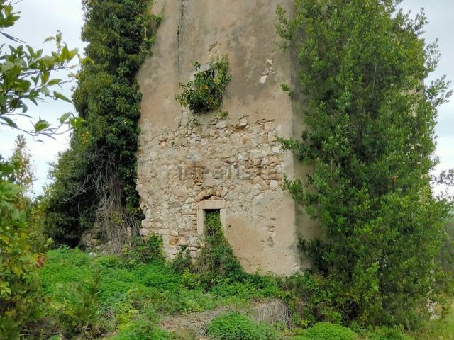 Terreno in vendita a Puglia, Foggia