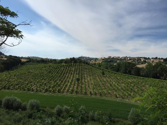 Terreno in vendita a Marche, Fermo