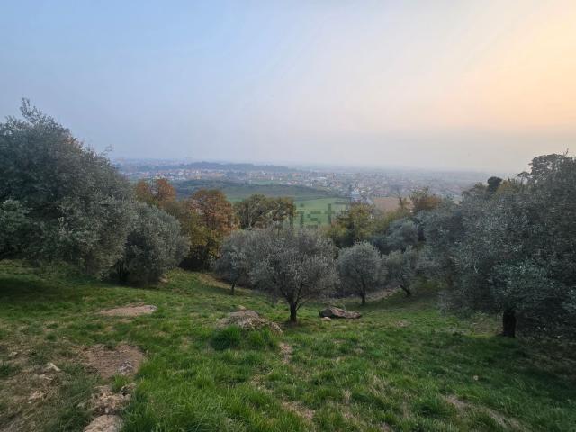 Terreno in vendita a San Giorgio, Bassano Del Grappa