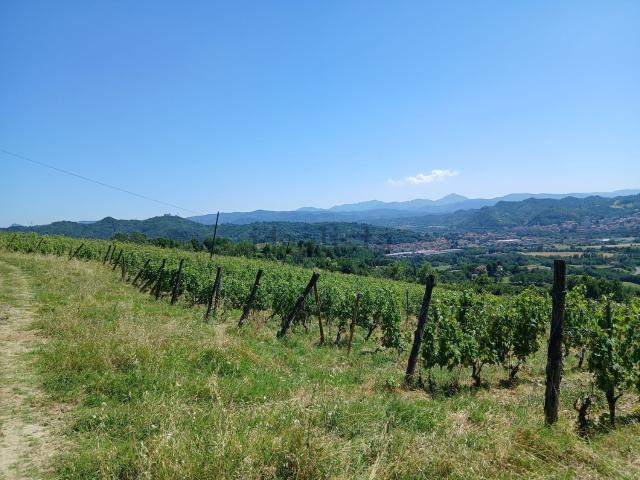 Terreno in vendita a Rione San Secondo, Asti