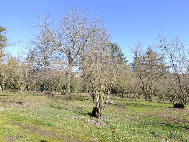 Terreno in vendita a Capranica, Lazio