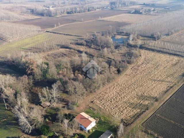 Terreno in vendita a Vedelago, Veneto