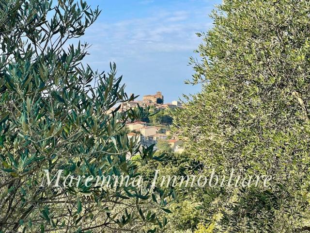 Terreno in vendita a Manciano, Grosseto