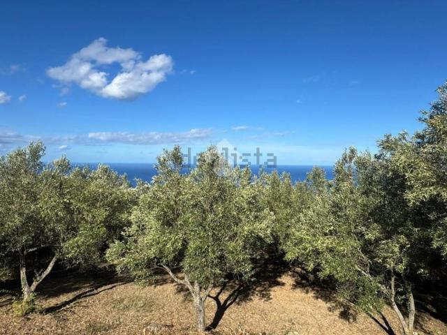 Terreno in vendita a Amantea Paese, Calabria
