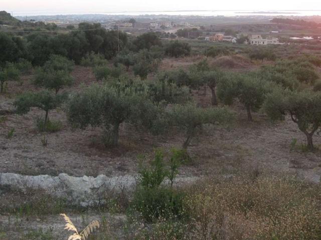 Terreno in vendita a Marsala, Sicilia