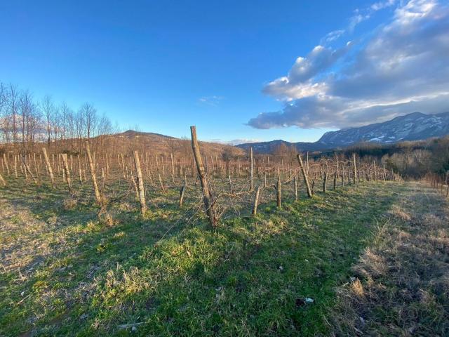 Terreno in vendita a San Martino Valle, Campania
