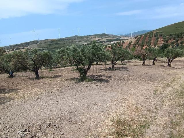 Terreno in vendita a Calabria, Catanzaro