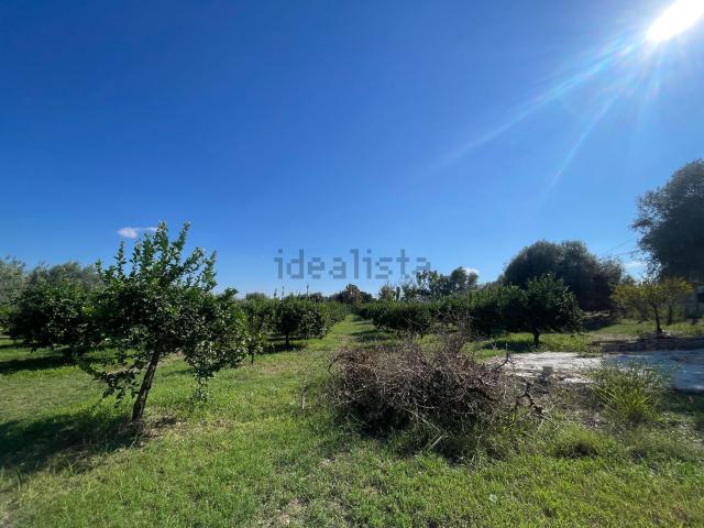 Terreno in vendita a Siracusa