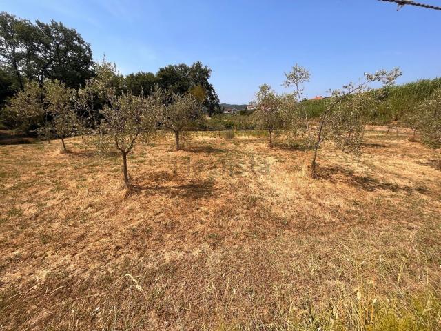 Terreno in vendita a Ponzano Magra, Santo Stefano Di Magra