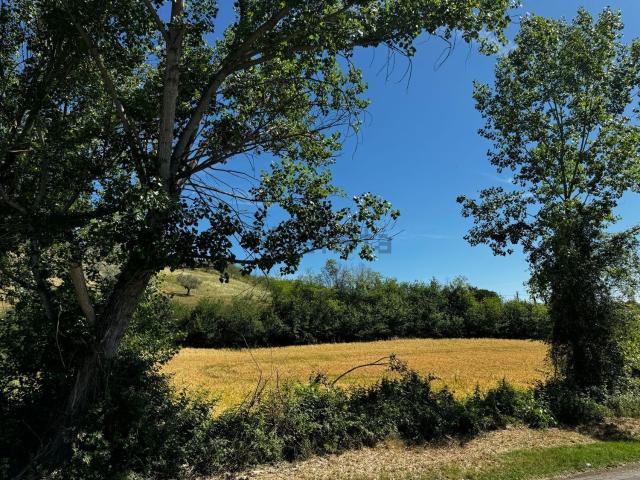 Terreno in vendita a Pianella, Abruzzo