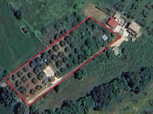 Terreno in vendita a Calabria, Vibo Valentia