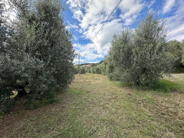 Terreno in vendita a La Casa, Collesalvetti