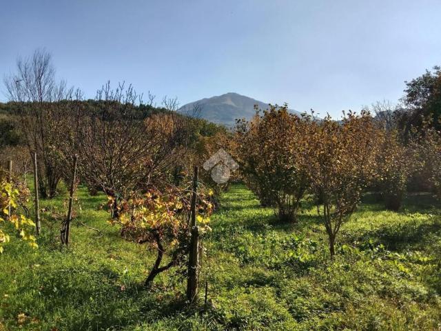 Terreno in vendita a San Potito Ultra, Campania