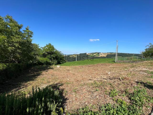 Terreno in vendita a Unione di comuni Terre di Castelli, Zocca