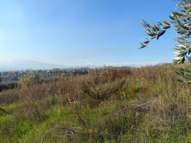 Terreno in vendita a Centobuchi, Monteprandone