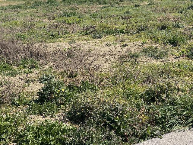 Terreno in vendita a Casalserugo, Veneto