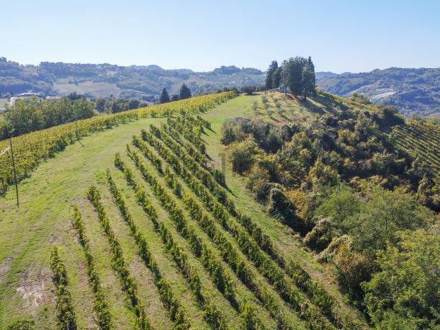 Terreno in vendita a Unione dei comuni Valle del Savio, Cesenà