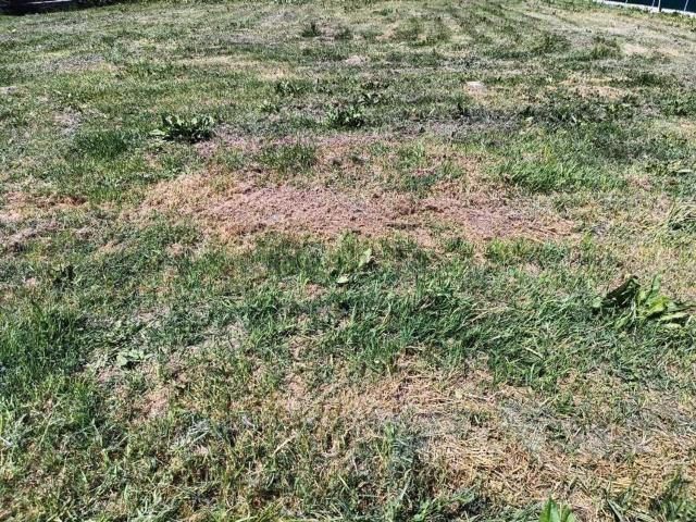 Terreno in vendita a Lugo, Ravenna