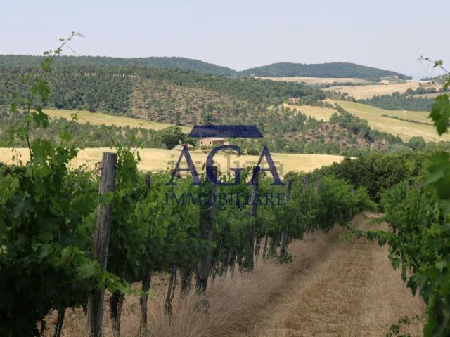 Terreno in vendita a Miane, Veneto