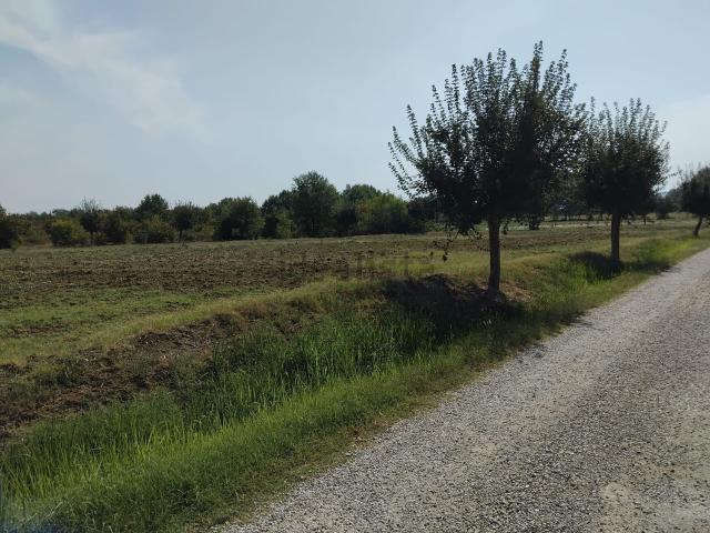 Terreno in vendita a Indicatore, Palazzo Del Pero