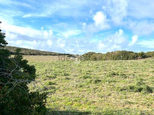 Terreno in vendita a Calasetta, Sardigna/Sardegna